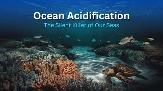 How to Combat Ocean Acidification  The Survival of Ocean Animals  Endangered Marine Animals [upl. by Norad155]