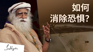 如何消除恐惧？  Sadhguru 萨古鲁 [upl. by Ernesta]