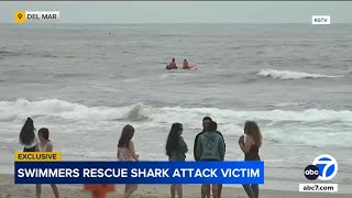 Witnesses rush into ocean to help swimmer attacked by shark near San Diego [upl. by Ellah]