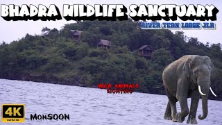 🔥Bhadra Wildlife Sanctuary  Island Stay  Cottage Dam View SimbaaVlogs [upl. by Ardnassela]