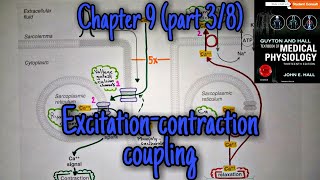 Excitationcontraction couplingheart chapter 9 part 3 guyton and hall physiology [upl. by Danny554]