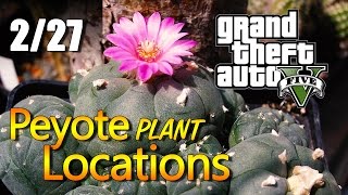 GTA 5  Peyote Plant Locations 0227 [upl. by Ylerebmik]