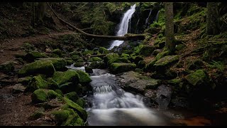 Die Windberg Wasserfälle bei St Blasien im Hochschwarzwald [upl. by Weinstock391]