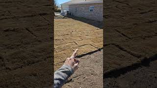 how to lay sod or grass ep2 [upl. by Attikin]