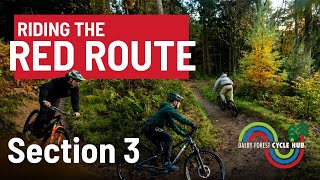 Mountain Biking In Dalby Forest Red Route – Section 3 [upl. by Lladnek]