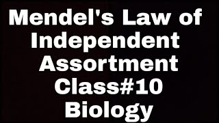 Law of Independent Assortment  Class10 [upl. by Rosecan]