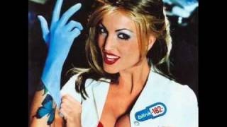 Blink 182  Untitled Live Enema Import [upl. by Atnovart914]