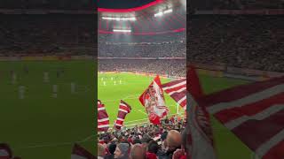 Bayern München  Paris Champions League 2425 Torjubel zum 10 shorts [upl. by Yehsa]