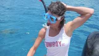 Sharks  T Dinwiddie  TomboyX In Tahiti [upl. by Theo]