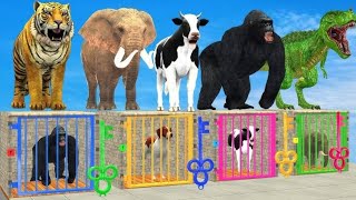 Cow Elephant Tiger Gorilla Hippo 3d Animal Long Slide Game Funny 3d Paint Animals Cage Game [upl. by Harmony]