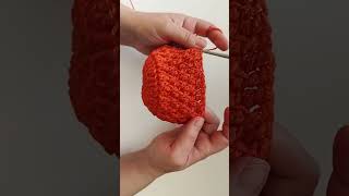 Easy amp Fast Crochet Newborn Hat Tutorial for Beginners [upl. by Eiznekcm]