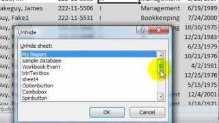 Excel VBA Tips n Tricks 14 Hiding Worksheets  xlHidden versus xlVeryHidden [upl. by Ray659]