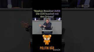 quotStephan Brandner AfD Die CDU kuschelt mit den Grünenquot [upl. by Mab783]