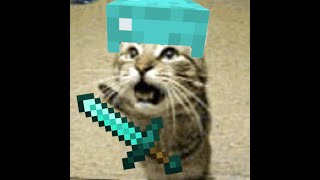 Meowsynth Cat  Minecraft [upl. by Iliam179]