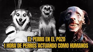 1 hora de perros Actuando Como Humanos 4 Historias nuevas que NO Te Dejarán Dormir [upl. by Johna]