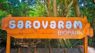 Explore the Natural Beauty of SAROVARAM Bio Park in Calicut [upl. by Anamor]