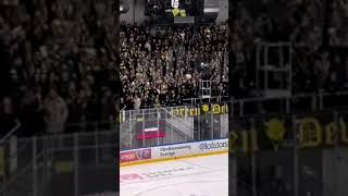 Fans till Björklöven i Hockeyallsvenskan i Sverige Shorts [upl. by Hungarian]