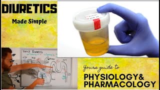 Diuretics CVS Pharmacology  part 1 [upl. by Akcirred]