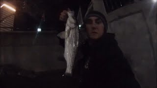 Late Winter Striped Bass Fishing Providence River Rhode Island [upl. by Desai]