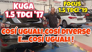 KUGA 15 TDCI  17  FOCUS 15 TDCI  19  Così ugualicos diverse ecosì uguali [upl. by Nedrob]