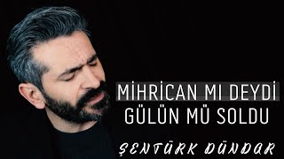 MİHRİCAN MI DEYDİ GÜLÜN MÜ SOLDU  ŞENTÜRK DÜNDAR [upl. by Emorej519]