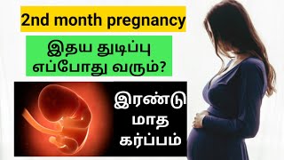 pregnancy tips in tamil  baby heartbeat in pregnancy in tamil  2nd month pregnancy in tamil [upl. by Nosemaj]