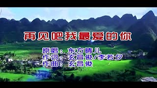 再见吧我最爱的你东方晴儿伴奏 KARAOKE [upl. by Nwahsat]