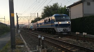 A113 幡生操〜東京タ1054レ EF210形350号機 [upl. by Ard]