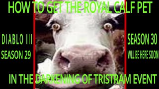 DARKENING OF TRISTRAM HOW TO GET THE ROYAL CALF SEASON 29 DIABLO III [upl. by Strang415]