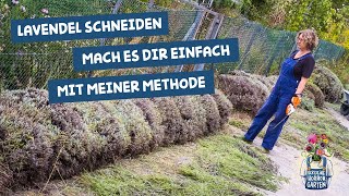 Lavendel schneiden  die einfache Methode I der kleine Horrorgarten [upl. by Hungarian828]