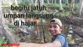 tempat yang gak pernah di jamah para pemancing [upl. by Leiso]