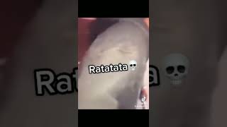 ratatata meme [upl. by Atterg810]