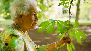 Attenborough’s garden stroll with the Queen [upl. by Alaik]