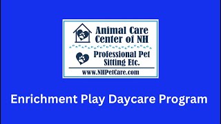 Enrichment Play Daycare Program [upl. by Atimad]