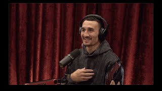 JRE MMA Show 155 with Max Holloway [upl. by Neibart]