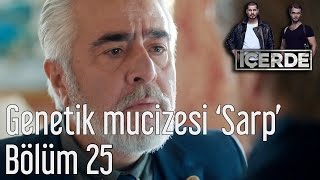 İçerde 25 Bölüm  Genetik Mucizesi Sarp [upl. by Enattirb25]