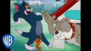 Tom y Jerry en Latino  La Diversión al Atardecer  WB Kids [upl. by Yuk327]