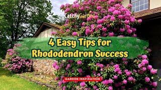 4 Easy Tips for Rhododendron Success 🌺🌿🌸  Gardening Tips [upl. by Amihsat]