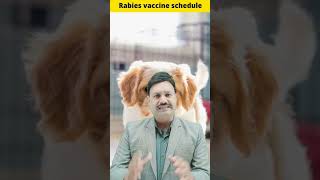 Dog Rabies Vaccine Schedule ramawatdogcare shortvideo [upl. by Enelaehs]