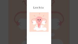 Lochia kattrucate medicalreels shorts pregnancy discharge red pink periods leucocytes [upl. by Eah]