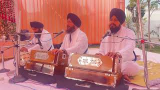 Bhai Amandeep Singh ji hazoori ragi darbar sahib [upl. by Melania962]