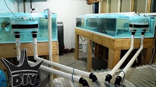 MONSTER DIY aquariums and fish UPDATE [upl. by Dhiren]