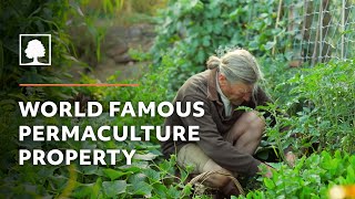 World Famous Permaculture Property Tour – David Holmgren and Su Dennetts Melliodora [upl. by Anibla]