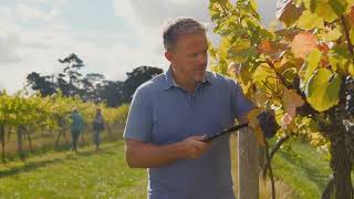 17Wine Estate  The Mystique of Domaine Prieuré Roch 🌱  Burgundy’s Hidden Gem 💎 [upl. by Mccullough]