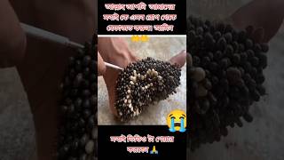 আল্লাহুমা 😯😰 love answer [upl. by Buiron]