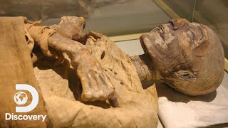 How Mummies Are Made  Expedition Unknown Egypt LIVE [upl. by Aerdma145]