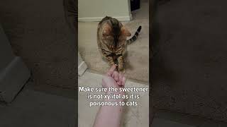 Felix the Bengal Cat Tries PEANUT BUTTER [upl. by Aleibarg390]