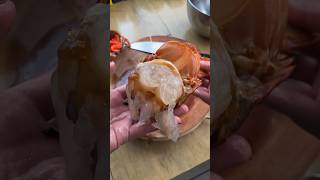 Lobster Sashimi 🦞 lobster sashimi lobstersashimi spinylobster asmr delicious yummy foodgasm [upl. by Ahsaf593]