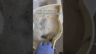 🦠 Limpieza de sofás y otro muebles tapizados 🚗 Regiones de Alicante y Murcia shortvideo [upl. by Ytinav812]