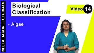 Biological Classification  NEET  Algae  Neela Bakore Tutorials [upl. by Nnylyt]